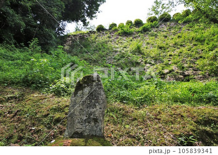 延岡城 延岡城 105839341