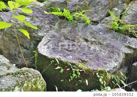 延岡城 105839352