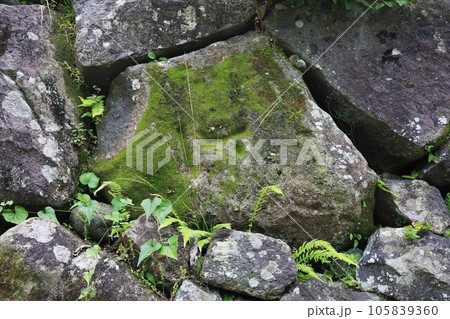 延岡城 延岡城 105839360