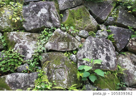 延岡城 延岡城 105839362