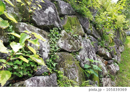 延岡城 延岡城 105839369