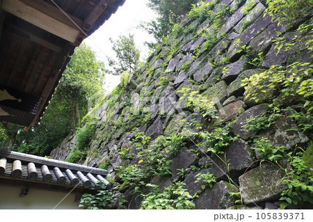 延岡城 延岡城 105839371