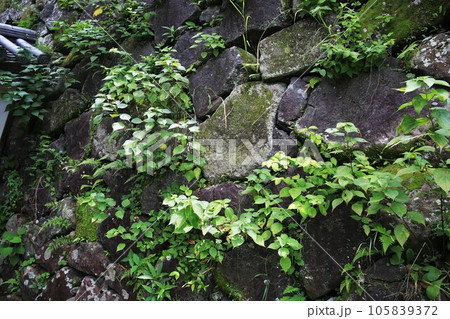 延岡城 延岡城 105839372