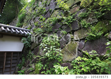 延岡城 延岡城 105839373