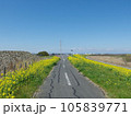 杉戸町　菜の花　江戸川堤防沿い 105839771
