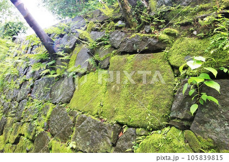 延岡城 延岡城 105839815