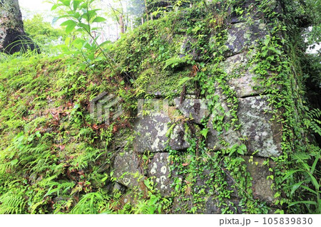 延岡城 延岡城 105839830