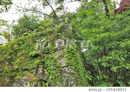 延岡城 105839831