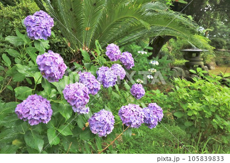 延岡城 延岡城 105839833