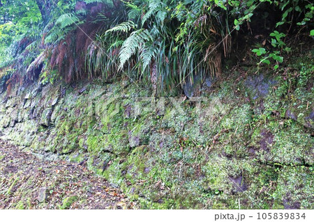延岡城 延岡城 105839834