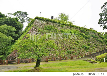 延岡城 延岡城 105839844