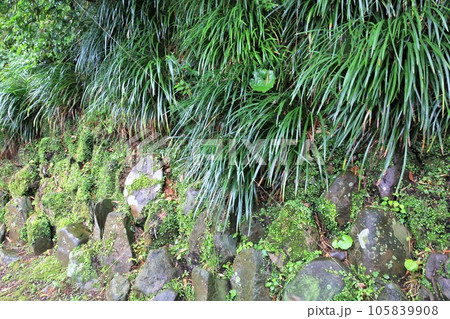 延岡城 延岡城 105839908