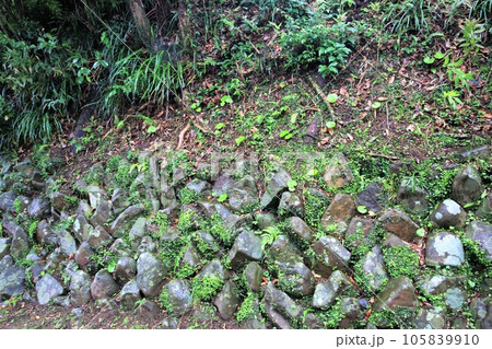 延岡城 延岡城 105839910