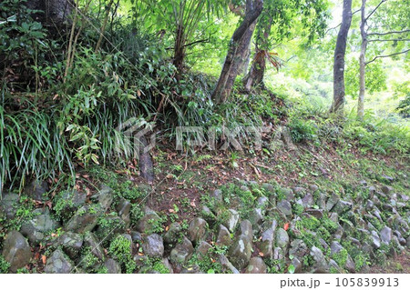 延岡城 延岡城 105839913