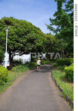 【横浜】山下公園の歩道 105839960