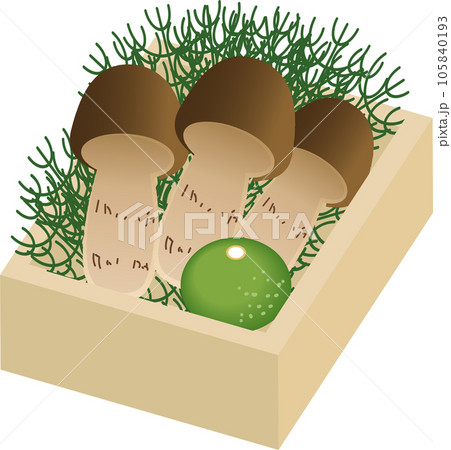 木箱に入った松茸 105840193