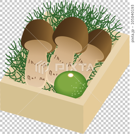 木箱に入った松茸 105840193