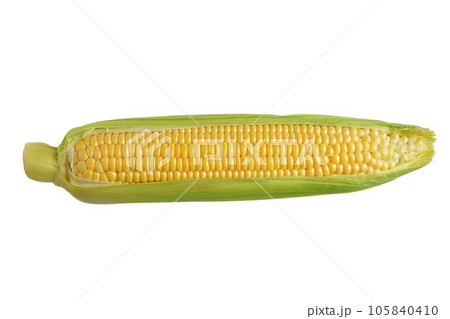 Fresh yellow ear of corn with green leaves isolated on white background 105840410