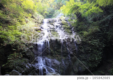 飛竜の滝 105842085