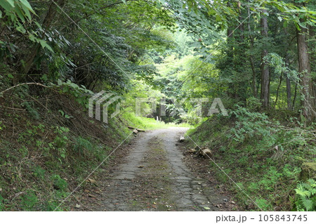 樽峠登山口 樽峠登山口 105843745