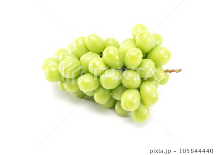 Shine muscat grape isolated on white background. Japanese fruit. 105844440