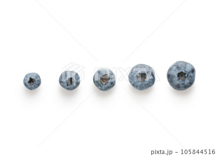 Fresh organic blueberries in a row top view shot on white background Fresh organic blueberries in a row top view shot on white background 105844516