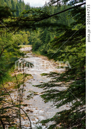 Mountain river in the forest among the rocks 105844735