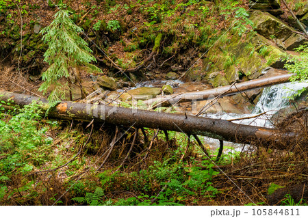Waterfall cascade on mountain cliffs. Mountain waterfall in the mountains. Mountains Carpathians Ukraine 105844811