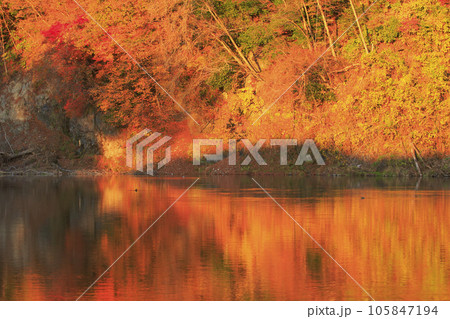 秋の落石 105847194