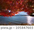 紅葉と富士山 105847603