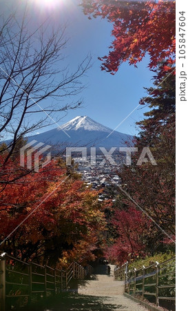 紅葉の新倉山公園 105847604