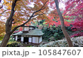 紅葉に囲まれたお寺 105847607