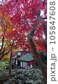 紅葉に囲まれたお寺 105847608