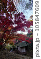 紅葉に囲まれたお寺 105847609