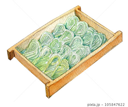 水彩イラスト　へぎそば　新潟グルメ 105847622