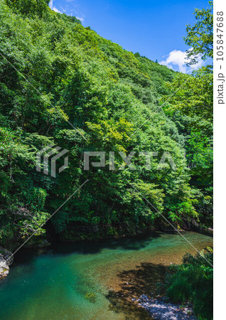 景勝地 夏の巴淵 景勝地 夏の巴淵 105847688