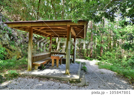対馬　続日本100名城　金田城　登山道　東屋 105847801