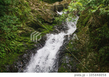 苔で覆われた岩の間を勢いよく流れるマテリヤの滝 105848058