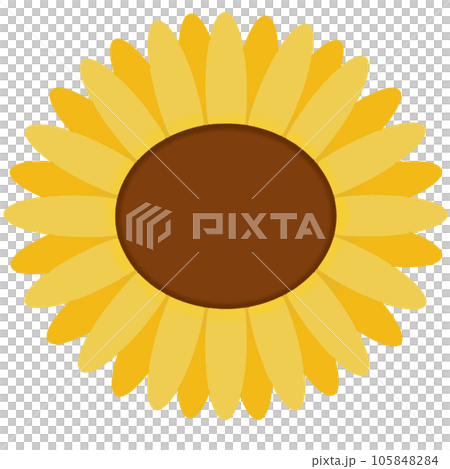 Sunflower  105848284