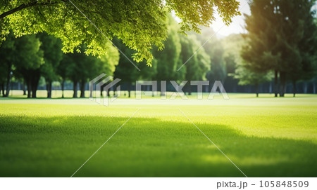 Green lawn and trees background with copyspace....のイラスト素材 [105848509 ...