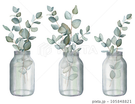 Eucalyptus, bouquet in a vase. Hand drawn clipart isolated on white background Watercolor floral illustration set green leaf branches collection, for wedding stationary, greetings, wallpapers, fashion Eucalyptus, bouquet in a vase. Hand drawn clipart isolated on white background Watercolor floral illustration set green leaf branches collection, for wedding stationary, greetings, wallpapers, fashion 105848821