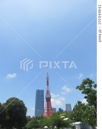 芝公園から見えるタワー 芝公園から見えるタワー 105849641