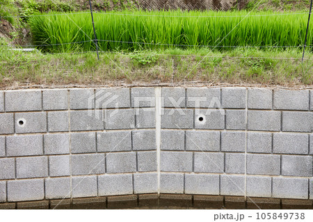 擁壁と夏の田んぼ 105849738