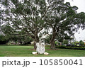 台南の八田與一記念館の桜 105850041