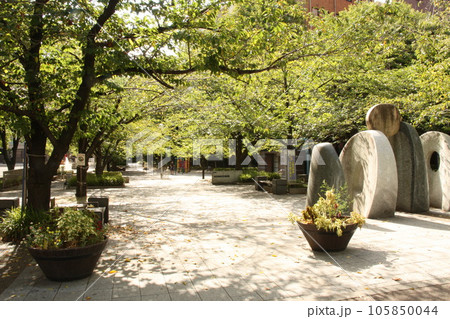 中央区立　桜川公園　八丁堀駅周辺 105850044