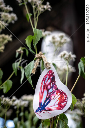 革堂・行願寺の秋、アサギマダラの到来を待つ境内のフジバカマに蝶の短冊 105850729