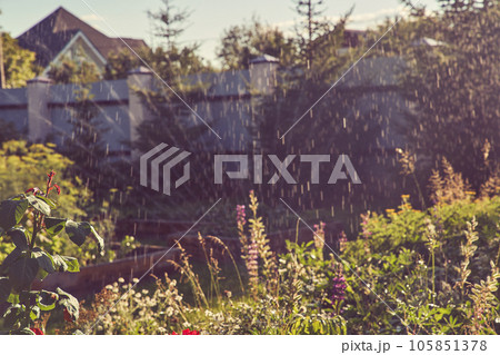 A spray irrigation system waters the garden on a sunny summer day. Sprinkler system for watering plants. The concept of gardening, growing and caring for plants. High quality photo 105851378