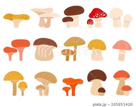 Cartoon forest mushrooms set. Toadstool mushroom, chanterelle, boletus and fungus. Autumn abstract forest wild plants decent vector clipart Cartoon forest mushrooms set. Toadstool mushroom, chanterelle, boletus and fungus. Autumn abstract forest wild plants decent vector clipart 105851420