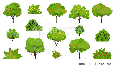 Harvest fruits tree, fruit trees growing and bush with berries. Organic fresh gardening products, apricots and peach, apples and plums, decent vector set 105851421