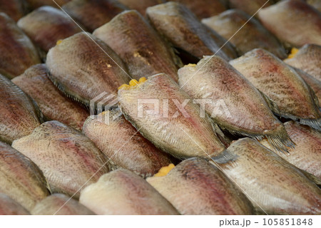 Dried fish in the market, close-up of the fish Dried fish in the market, close-up of the fish 105851848